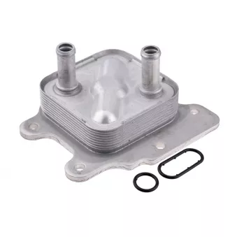 Radiateur d'huile TEKNÖR CCL-NS-015