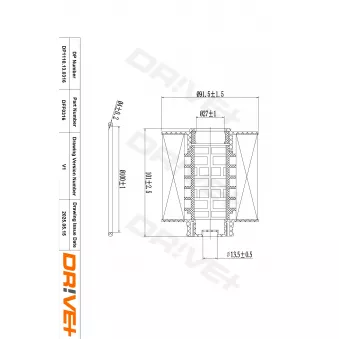Filtre à carburant Dr!ve+ DP1110.13.0316