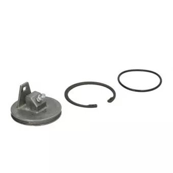 Pastille bombée, fusée d'essieu S-TR