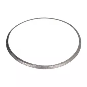 Joint d'étanchéité, tuyau d'échappement ENGITECH