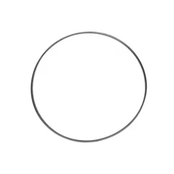 Joint d'étanchéité, collecteur d'échappement ENGITECH