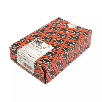 Coussinet de vilebrequin ENGITECH