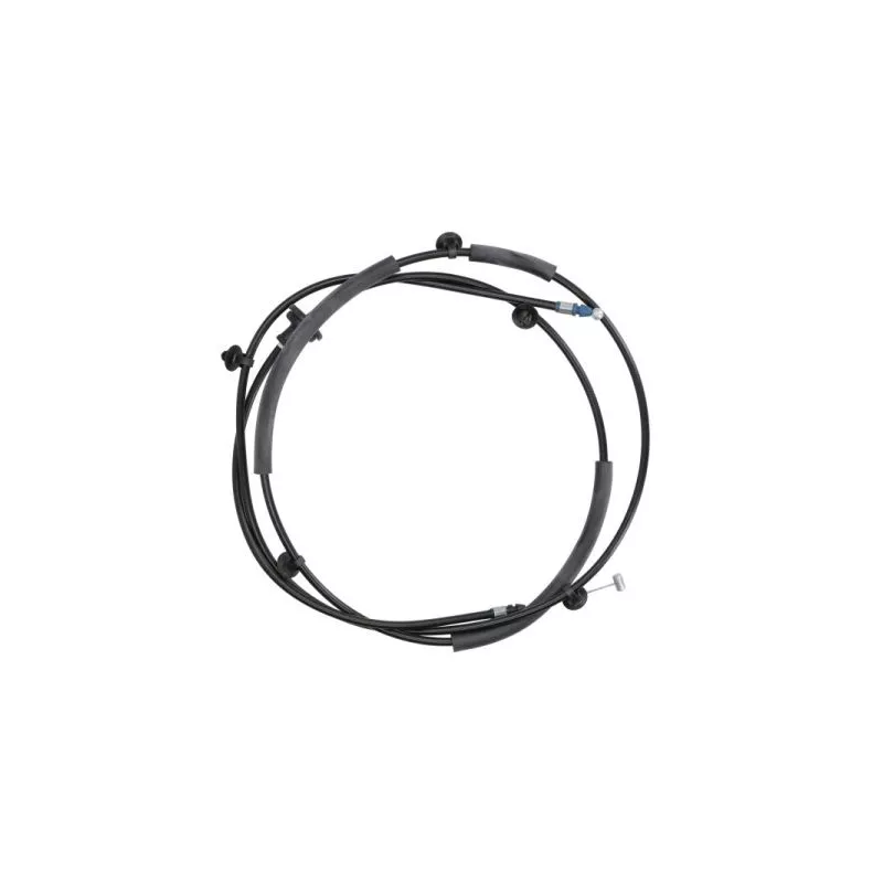 Serrure de capot-moteur BLIC 6010-01-7821424P