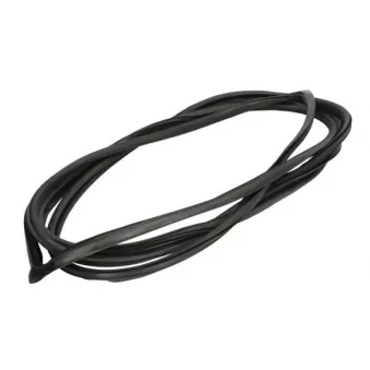 Joint d'étanchéité, pare-brise avant droit BLIC