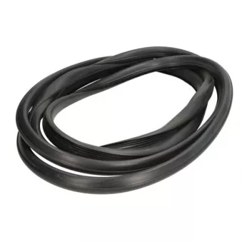 Joint d'étanchéité, pare-brise avant droit BLIC