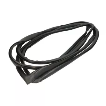 Baguette et bande protectrice, pare-brise avant droit BLIC