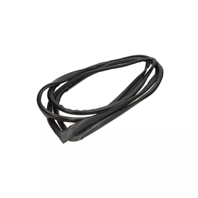 Baguette et bande protectrice, pare-brise avant droit BLIC 5703-04-6037547Q