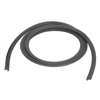 Joint d'étanchéité, pare-brise avant droit BLIC