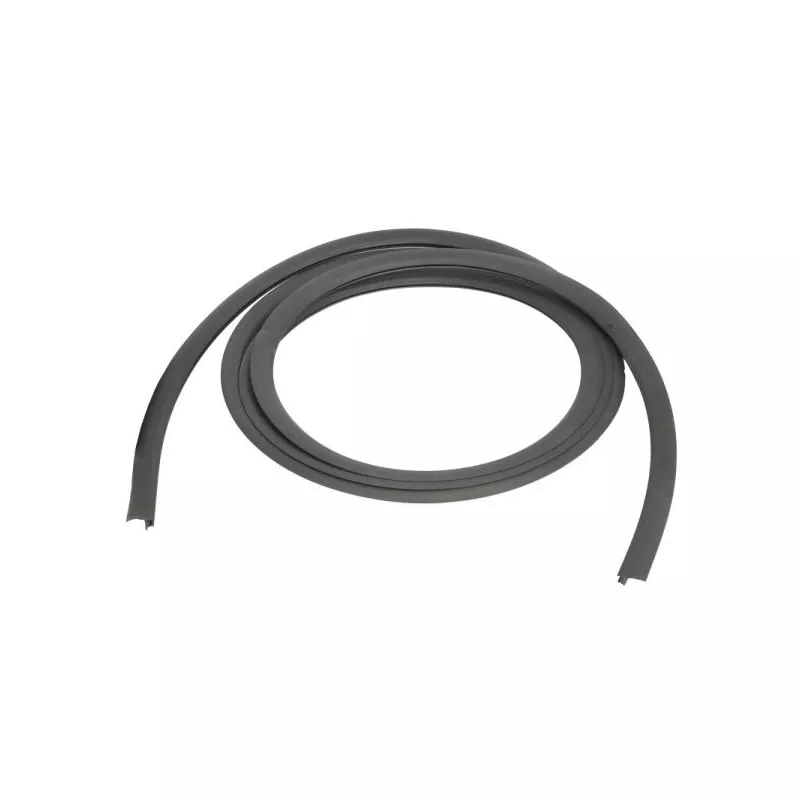 Joint d'étanchéité, pare-brise avant droit BLIC 5703-04-6037549Q