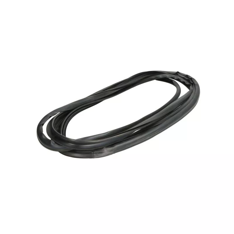 Baguette et bande protectrice, pare-brise avant droit BLIC 5703-04-6037550Q