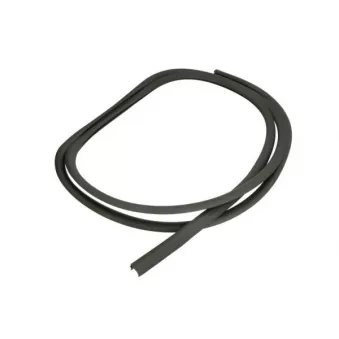 Baguette et bande protectrice, pare-brise avant droit BLIC