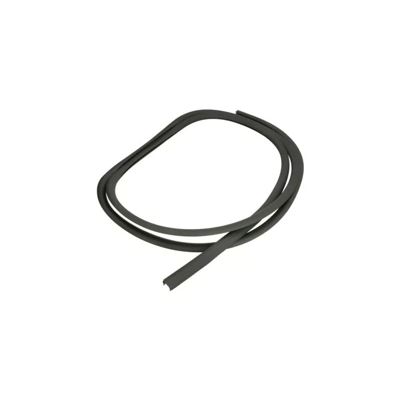 Baguette et bande protectrice, pare-brise avant droit BLIC 5703-04-6037858Q