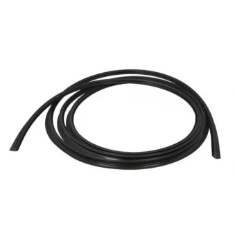 Baguette et bande protectrice, pare-brise avant droit BLIC