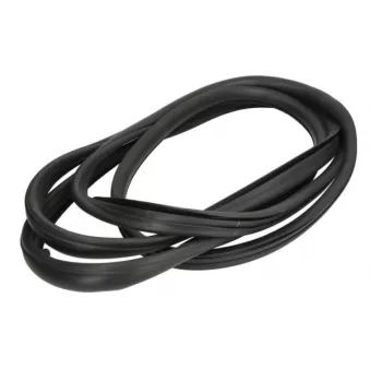 Joint d'étanchéité, pare-brise avant droit BLIC