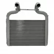 Intercooler, échangeur NISSENS 96424 - Visuel 1