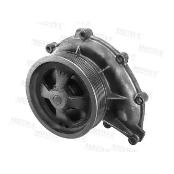 Pompe à eau MOTIVE WP3019
