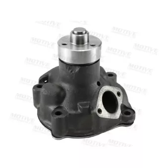 Pompe à eau MOTIVE WP2030