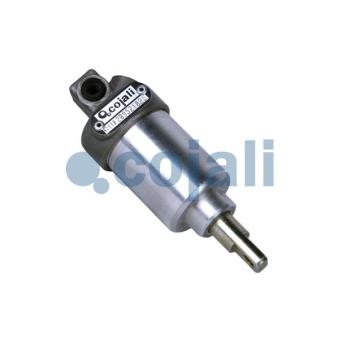 Vérin COJALI 2201100