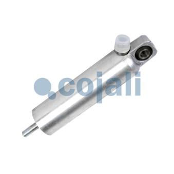 Vérin COJALI 2301205