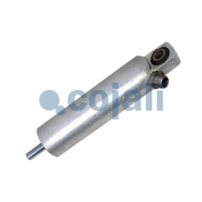 Vérin COJALI 2301205 - Visuel 1