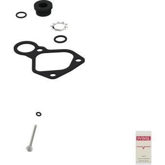 Servo-débrayeur ProVia PRO4110082