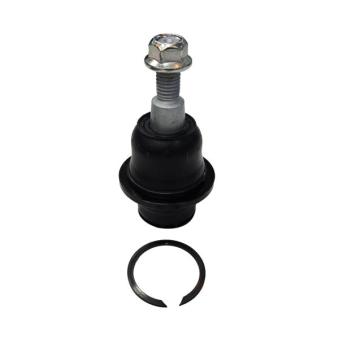 Rotule de suspension CTR CB0038