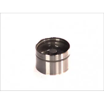 Poussoir de soupape AE