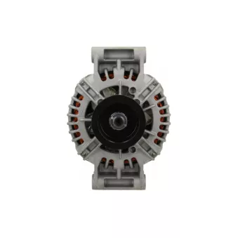 Alternateur BV PSH 556.531.150.019