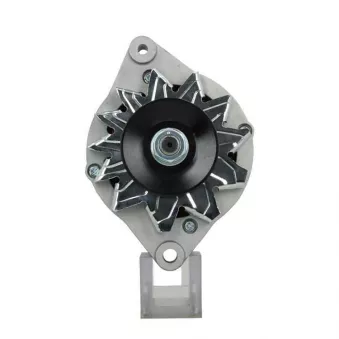 Alternateur BV PSH 815.001.070.090