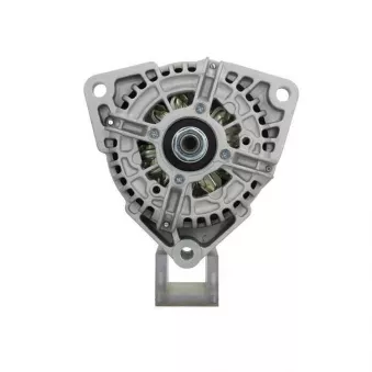 Alternateur BV PSH 556.508.080.310