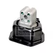 Support moteur FEBI BILSTEIN 174528 - Visuel 1