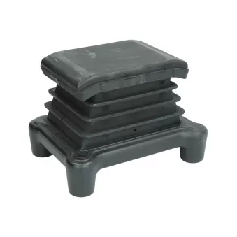 Coussinet, ressort parabolique LEMA