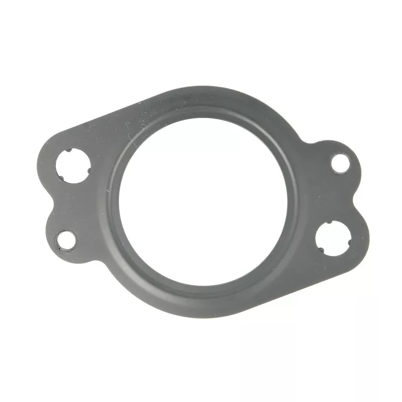 Joint d'étanchéité, collecteur d'échappement LEMA 21505.12