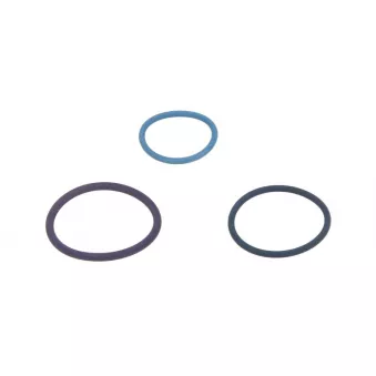 Joints d'injecteur LEMA