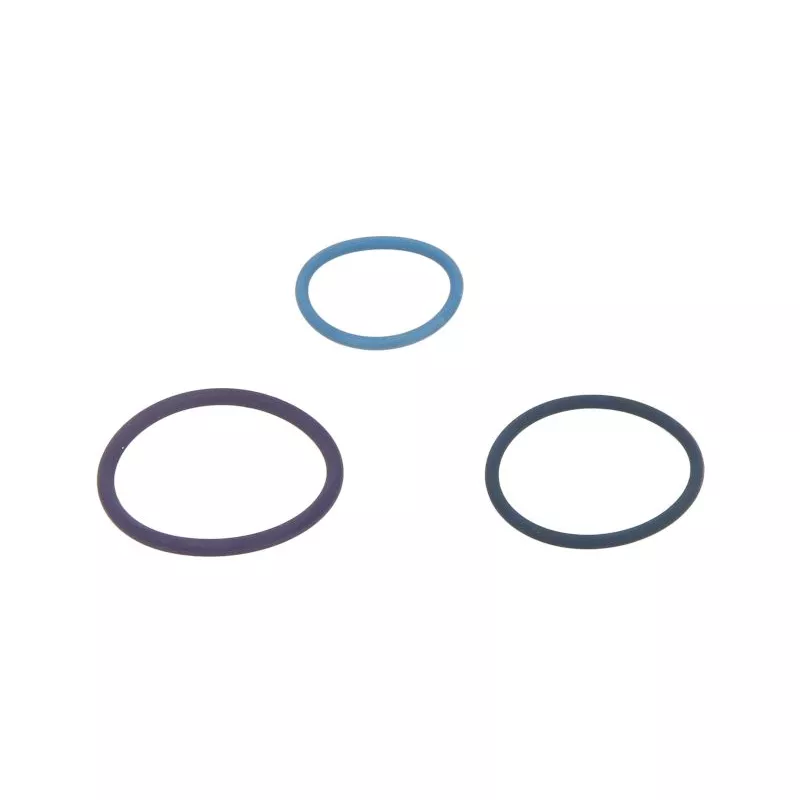 Joints d'injecteur LEMA 28070.20