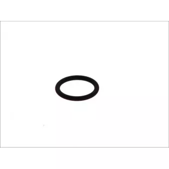 Bague d'étanchéité, injecteur LEMA