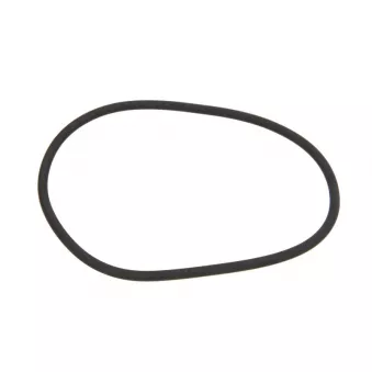 Bague d'étanchéité, compresseur LEMA