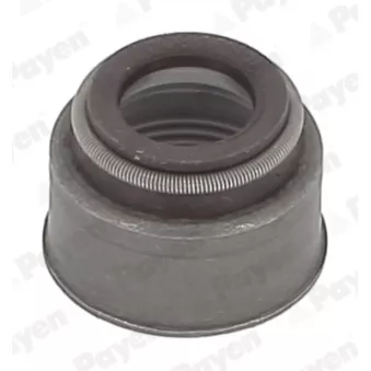 Jeu de joints d'étanchéité, tige de soupape PAYEN HR5144