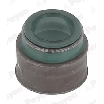 Jeu de joints d'étanchéité, tige de soupape PAYEN HR5146