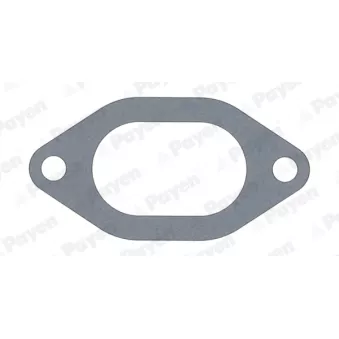 Joint d'étanchéité, collecteur d'admission PAYEN JC054
