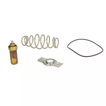 thermostat, liquide de refroidissement LE451479 LEMA 451479