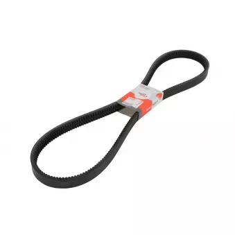 Courroie trapézoïdale composite LEMA