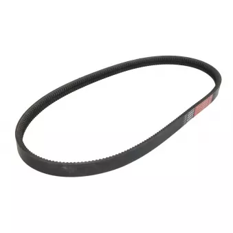 Courroie trapézoïdale composite LEMA