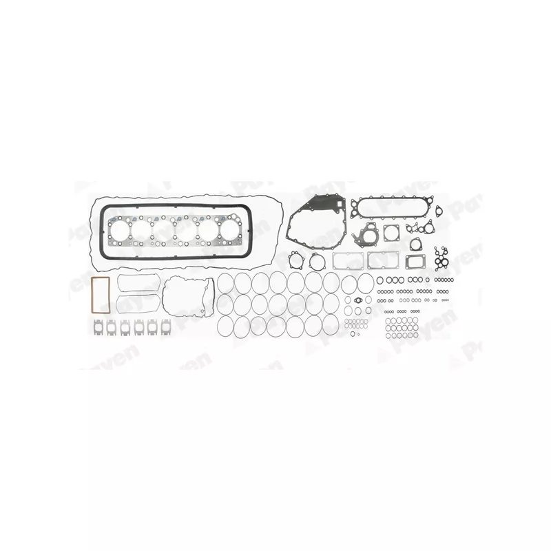 Pochette moteur complète PAYEN FG9360