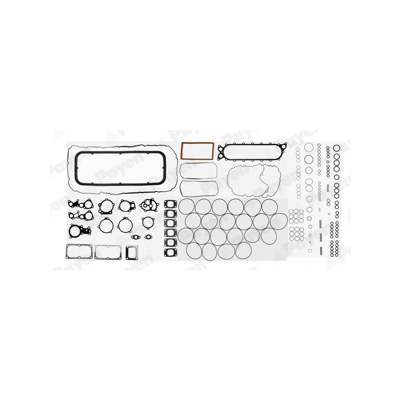 Pochette moteur complète PAYEN FA5010