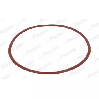 Joint de cache culbuteurs PAYEN JM7207