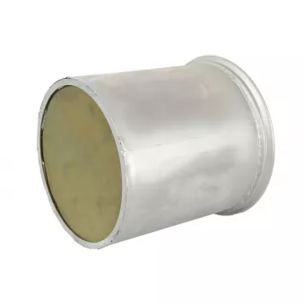 Catalyseur HOBI 45929