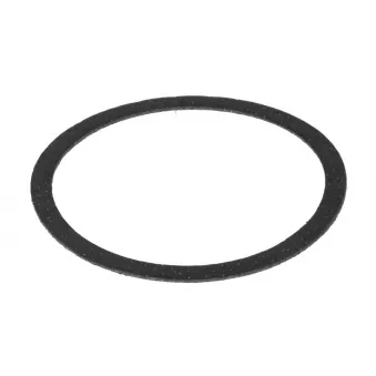 Joint d'étanchéité, collecteur d'échappement HOBI