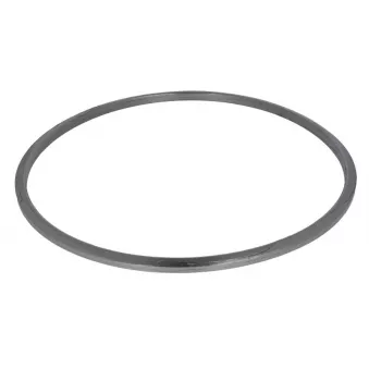 Joint d'étanchéité, collecteur d'échappement HOBI