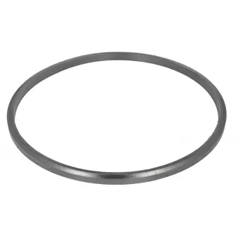 Joint d'étanchéité, collecteur d'échappement HOBI